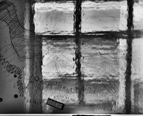 12 savaičių programa -,Fotoprojekcija". - Fotoknygos, fotoalbumai - 3 Fotoknygos, fotoalbumai - 12 savaičių programa -,Fotoprojekcija". - 3