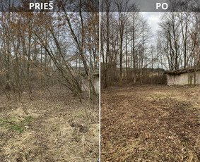 Sklypų tvarkymas: medžių ir krūmų pjovimas su išvežimu. / Albertas Rakuckis / Darbų pavyzdys ID 3753535