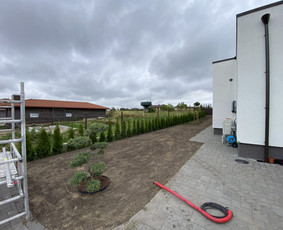 Vikšrinio bobcat nuoma / Dirvita / Darbų pavyzdys ID 3754145