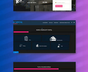 Svetainių, Parduotuvių kūrimas, bei Grafinis dizainas - Programavimas su WordPress - 3 Programavimas su WordPress - Svetainių, Parduotuvių kūrimas, bei Grafinis dizainas - 3