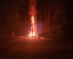Poilsio Sodyba Miško Glėbyje / Pušų Šlamesy / Darbų pavyzdys ID 3754559