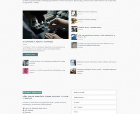 Interneto Svetainių ir El. Parduotuvių kūrimas. Seo darbai! / Artix.lt / Darbų pavyzdys ID 3754967