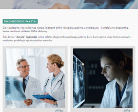 Interneto Svetainių ir El. Parduotuvių kūrimas. Seo darbai! / Artix.lt / Darbų pavyzdys ID 3754971