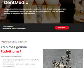 Interneto Svetainių ir El. Parduotuvių kūrimas. Seo darbai! / Artix.lt / Darbų pavyzdys ID 3755455
