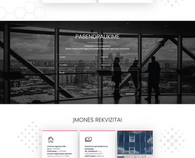 Interneto Svetainių ir El. Parduotuvių kūrimas. Seo darbai! / Artix.lt / Darbų pavyzdys ID 3755613