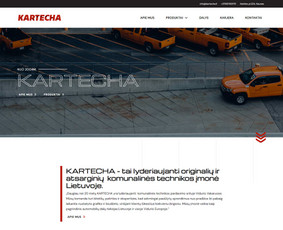 Interneto Svetainių ir El. Parduotuvių kūrimas. Seo darbai! / Artix.lt / Darbų pavyzdys ID 3755629