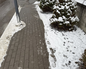 Žolės pjovimas, aeravimas, daugiabučių kiemų priežiūra. / MB Dgaid Group / Darbų pavyzdys ID 3756967