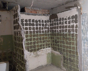 Griovimo darbai šiukšliu išvežimas / Audrius / Darbų pavyzdys ID 3757025