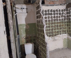 Griovimo darbai šiukšliu išvežimas / Audrius / Darbų pavyzdys ID 3757023