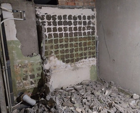 Griovimo darbai šiukšliu išvežimas / Audrius / Darbų pavyzdys ID 3757021
