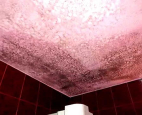 Pelėsio naikinimo-šalinimo paslaugos Vilniuje ir Kaune. Darbus atliekame visoje Lietuvoje! Tel.: +37060651043 