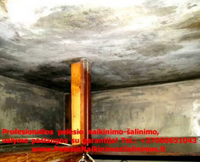 Pelėsio naikinimo-šalinimo paslaugos Vilniuje ir Kaune. Darbus atliekame visoje Lietuvoje! Tel.: +37060651043 