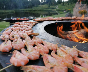 Išskirtinis maistas - išskirtinėms šventėms! - Maisto gaminimo pamokėlės - 2 Maisto gaminimo pamokėlės - Išskirtinis maistas - išskirtinėms šventėms! - 2