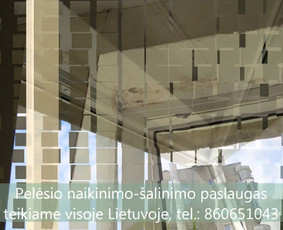 Pelėsio naikinimas-šalinimas Vilniuje ir Kaune. Darbus atliekame visoje Lietuvoje! Tel.: +37060651043 