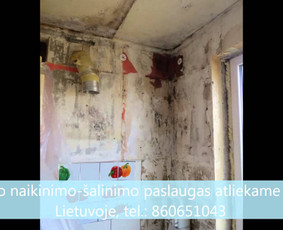 Pelėsio naikinimo-šalinimo paslaugos Vilniuje ir Kaune. Darbus atliekame visoje Lietuvoje! Tel.: +37060651043 
