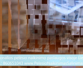 Pelėsio naikinimas-šalinimas Vilniuje ir Kaune. Darbus atliekame visoje Lietuvoje! Tel.: +37060651043 