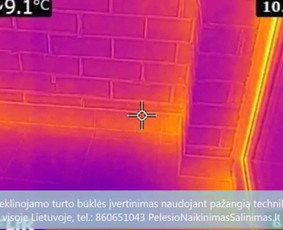 Termoviziniai tyrimai ir pelėsio priežaščių nustatimas ir konsultavimas kaip tinkamai pašalinti priežastys. Profesionalios pelėsio naikinimo šalinimo paslaugos Vilniuje. Tel.: +37060651043 