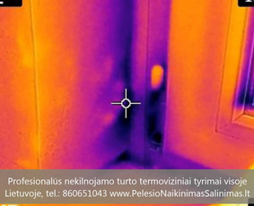 Termoviziniai tyrimai ir pelėsio priežaščių nustatimas ir konsultavimas kaip tinkamai pašalinti priežastys. Profesionalios pelėsio naikinimo šalinimo paslaugos Vilniuje. Tel.: +37060651043 