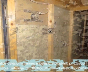 Pelėsio naikinimas-šalinimas Vilniuje ir Kaune. Darbus atliekame visoje Lietuvoje! Tel.: +37060651043 