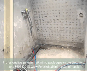 Pelėsio naikinimas-šalinimas Vilniuje ir Kaune. Darbus atliekame visoje Lietuvoje! Tel.: +37060651043 