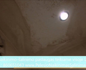Pelėsio naikinimas-šalinimas Vilniuje ir Kaune. Darbus atliekame visoje Lietuvoje! Tel.: +37060651043 