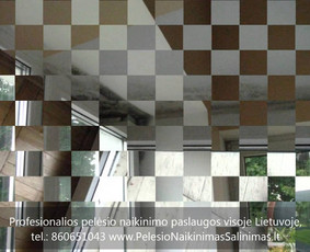 Pelėsio naikinimas-šalinimas Vilniuje ir Kaune. Priežaščių likvidavimas. Darbus atliekame visoje Lietuvoje! Tel.: +37060651043 