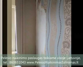Pelėsio naikinimas-šalinimas Vilniuje ir Kaune. Priežaščių likvidavimas. Darbus atliekame visoje Lietuvoje! Tel.: +37060651043 