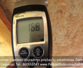 Pelėsio naikinimas-šalinimas Vilniuje ir Kaune. Priežaščių likvidavimas. Darbus atliekame visoje Lietuvoje! Tel.: +37060651043 