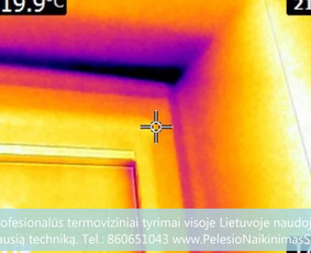 Termoviziniai tyrimai ir pelėsio priežaščių nustatimas ir konsultavimas kaip tinkamai pašalinti priežastys. Profesionalios pelėsio naikinimo šalinimo paslaugos Vilniuje. Tel.: +37060651043 