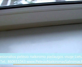 Pelėsio naikinimas-šalinimas Vilniuje ir Kaune. Priežaščių likvidavimas. Darbus atliekame visoje Lietuvoje! Tel.: +37060651043 