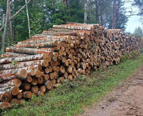 Malkos rąsteliais ir skaldytos. Malkinė mediena. - Malkos: gamyba, pristatymas - 2 Malkos: gamyba, pristatymas - Malkos rąsteliais ir skaldytos. Malkinė mediena. - 2