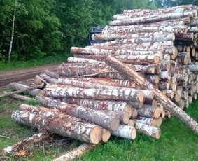 Malkos rąsteliais ir skaldytos. Malkinė mediena. - Malkos: gamyba, pristatymas - 4 Malkos: gamyba, pristatymas - Malkos rąsteliais ir skaldytos. Malkinė mediena. - 4