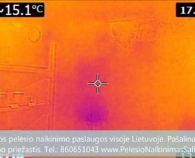 Termoviziniai tyrimai ir pelėsio priežaščių nustatimas ir konsultavimas kaip tinkamai pašalinti priežastys. Profesionalios pelėsio naikinimo šalinimo paslaugos Vilniuje. Tel.: +37060651043 
