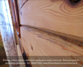 Pelėsio naikinimas-šalinimas Vilniuje ir Kaune. Priežaščių likvidavimas. Darbus atliekame visoje Lietuvoje! Tel.: +37060651043 