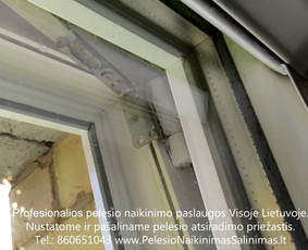 Pelėsio naikinimas-šalinimas nuo sienų, lubų Vilniuje ir Kaune. Priežaščių likvidavimas. Darbus atliekame visoje Lietuvoje! Tel.: +37060651043 