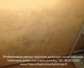 Pelėsio naikinimas-šalinimas Vilniuje ir Kaune. Priežaščių likvidavimas. Darbus atliekame visoje Lietuvoje! Tel.: +37060651043 
