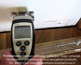 Pelėsio naikinimas-šalinimas nuo sienų, lubų Vilniuje ir Kaune. Priežaščių likvidavimas. Darbus atliekame visoje Lietuvoje! Tel.: +37060651043 