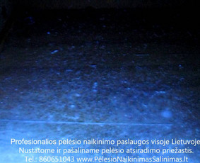 Pelėsio naikinimas-šalinimas nuo sienų, lubų Vilniuje ir Kaune. Priežaščių likvidavimas. Darbus atliekame visoje Lietuvoje! Tel.: +37060651043 