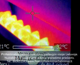Termoviziniai tyrimai ir pelėsio priežaščių nustatimas ir konsultavimas kaip tinkamai pašalinti priežastys. Profesionalios pelėsio naikinimo šalinimo paslaugos Vilniuje. Tel.: +37060651043 