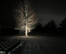 Viskas Jūsų kiemui nuo pagrindų / Mikosta / Darbų pavyzdys ID 3761597