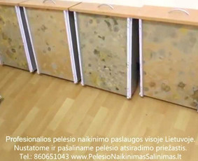 Pelėsio naikinimas-šalinimas iš baldų Vilniuje ir Kaune. Priežaščių likvidavimas. Darbus atliekame visoje Lietuvoje! Tel.: +37060651043 