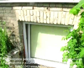 Pelėsio naikinimas-šalinimas nuo sienų, lubų Vilniuje ir Kaune. Priežaščių likvidavimas. Darbus atliekame visoje Lietuvoje! Tel.: +37060651043 