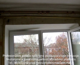 Pelėsio naikinimas-šalinimas nuo sienų Vilniuje ir Kaune. Priežaščių likvidavimas. Darbus atliekame visoje Lietuvoje! Tel.: +37060651043 