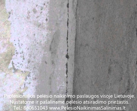 Pelėsio naikinimas-šalinimas nuo sienų, lubų Vilniuje ir Kaune. Priežaščių likvidavimas. Darbus atliekame visoje Lietuvoje! Tel.: +37060651043 