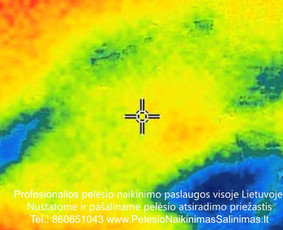 Termoviziniai tyrimai ir pelėsio priežaščių nustatimas ir konsultavimas kaip tinkamai pašalinti priežastys. Profesionalios pelėsio naikinimo šalinimo paslaugos Vilniuje. Tel.: +37060651043 