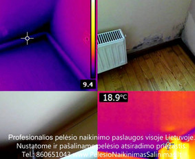 Termoviziniai tyrimai ir pelėsio priežaščių nustatimas ir konsultavimas kaip tinkamai pašalinti priežastys. Profesionalios pelėsio naikinimo šalinimo paslaugos Vilniuje. Tel.: +37060651043 