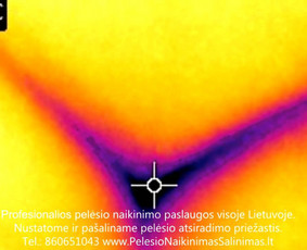 Termoviziniai tyrimai ir pelėsio priežaščių nustatimas ir konsultavimas kaip tinkamai pašalinti priežastys. Profesionalios pelėsio naikinimo šalinimo paslaugos Vilniuje. Tel.: +37060651043 