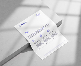 NT marketingas Prekės ženklų kūrimas - Maketavimas - 4 Maketavimas - NT marketingas Prekės ženklų kūrimas - 4