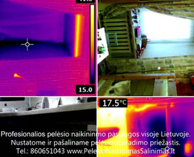 Termoviziniai tyrimai ir pelėsio priežaščių nustatimas ir konsultavimas kaip tinkamai pašalinti priežastys. Profesionalios pelėsio naikinimo šalinimo paslaugos Kaune. Tel.: +37060651043 