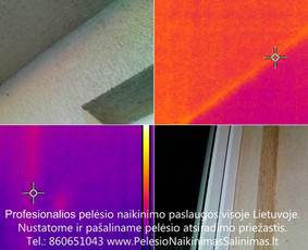 Termoviziniai tyrimai ir pelėsio priežaščių nustatimas ir konsultavimas kaip tinkamai pašalinti priežastys. Profesionalios pelėsio naikinimo šalinimo paslaugos Vilniuje. Tel.: +37060651043 
